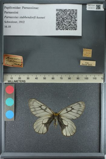 Media type: image;   Entomology 180171
